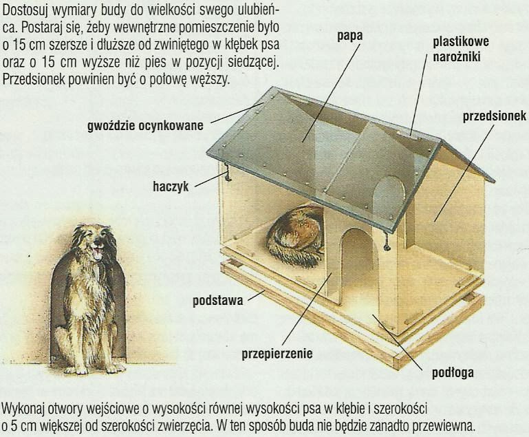 jak zrobić budę dla psa domowe-zoo.blogspot.com