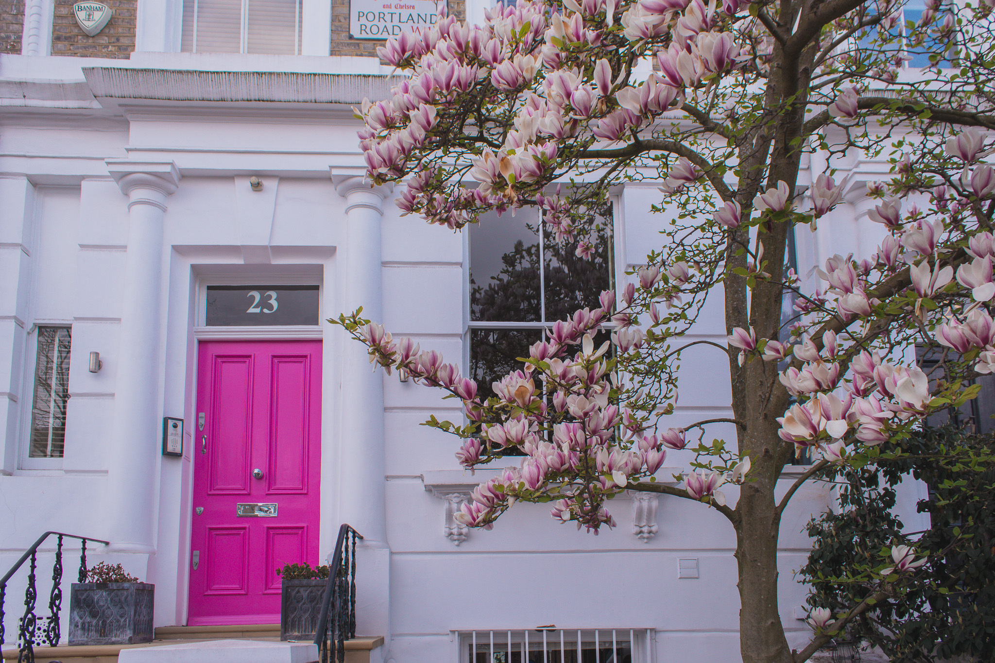 23 Portland Road in bloom, Notting Hill, London