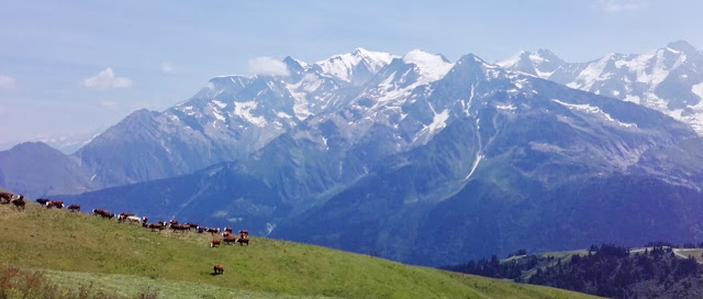 alpages de la Colombaz, randonnée à vélo électrique ou vttae