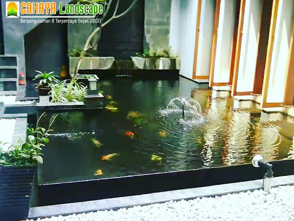 Tukang Kolam Ikan Koi Jakarta