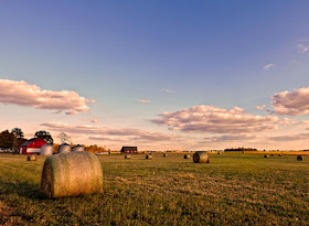 Farmland in United States