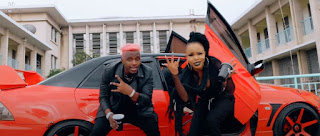 VIDEO|Rosa Ree ft Rayvanny-Sukuma Ndinga Remix |Official Mp4  Music Video 