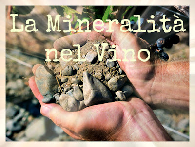 mineralità vino