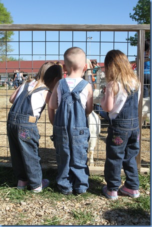 spring fling 2012 046