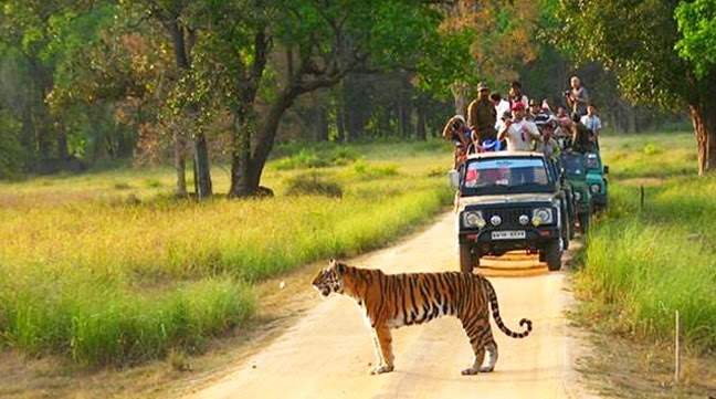 luxury holiday packages India