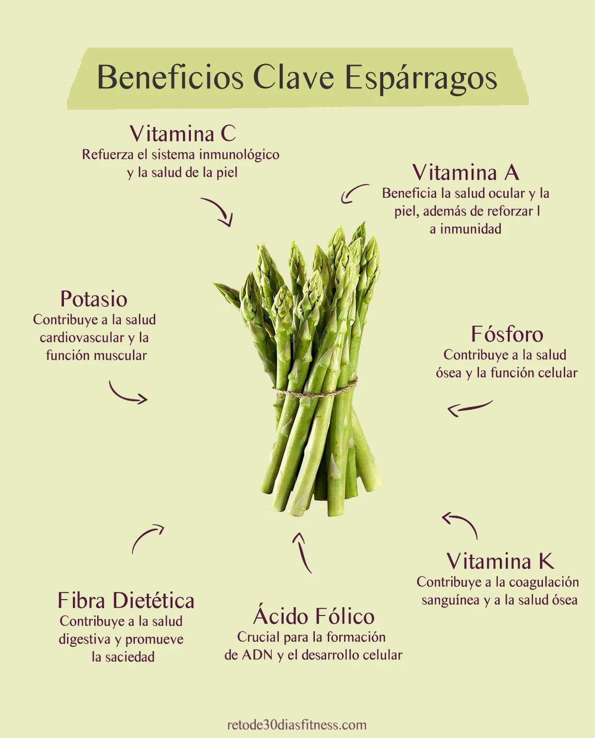 Infografía: Beneficios de los espárragos