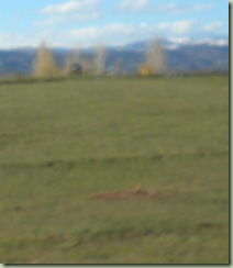DSCN0902