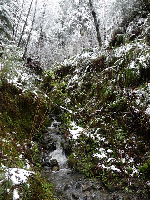 30: more water and more green in the snow