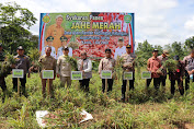 Bupati Tapin Hadiri Panen Jahe Merah, Pemkab Bakal Membuat Program Prioritas 