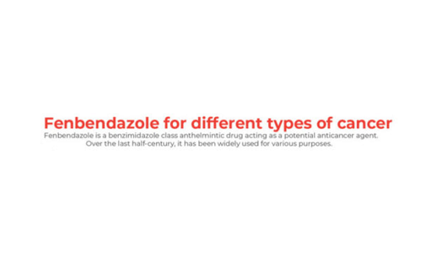 Fenbendazole For Different Types of Cancer #infographic