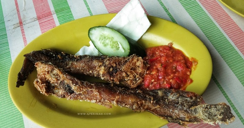 Singgah Makan Di Kedai Makan Pecal Lele Padang Jawa ...