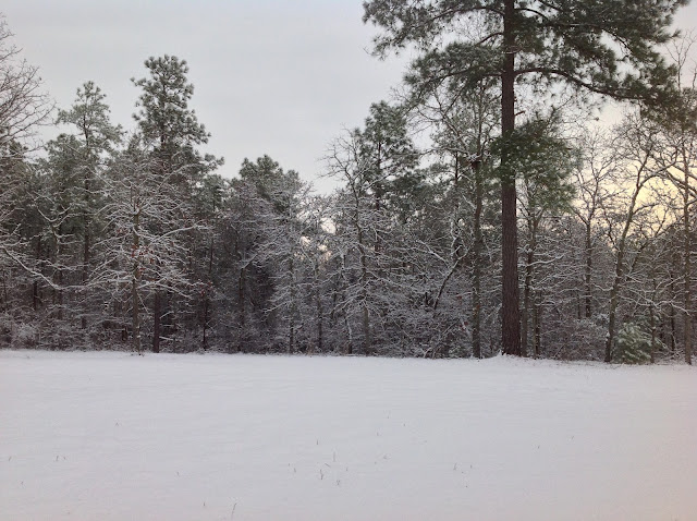snow landscape, Peach County, Georgia