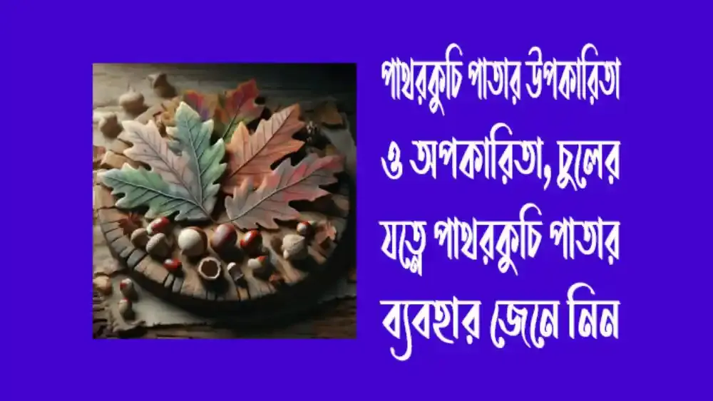 চুলের যত্নে পাথরকুচি পাতার ব্যবহার