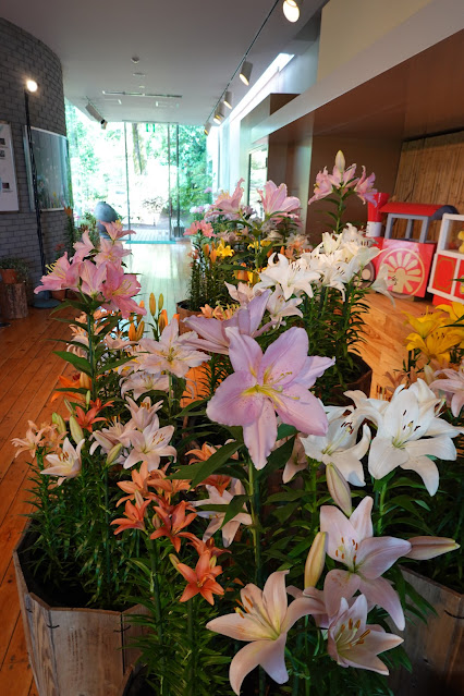 鳥取県西伯郡南部町鶴田　とっとり花回廊　ゆりの館