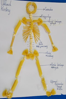 Esqueleto humano a base de fideos