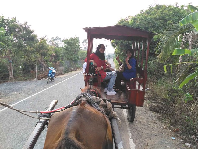 menaiki kereta kuda di sg mekong