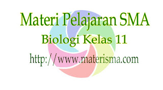 Biologi Kelas 11