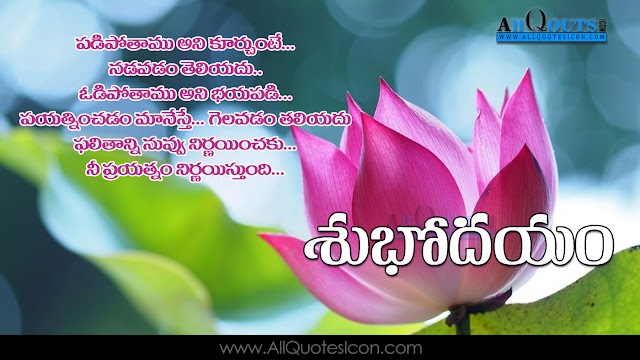 Best Telugu Good Morning Greetings Pictures Best Subhodayam Telugu Quotes Images Online Whatsapp Messages Friendship Quotes in Telugu Wallpapers