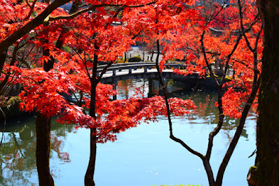 京都　モミジの永観堂