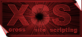 [Image: XSS+cross+site+scripting+vulnerability.gif]