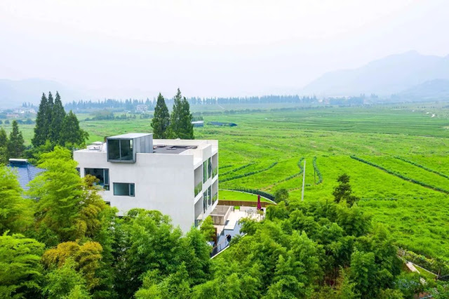 Naked stables in China