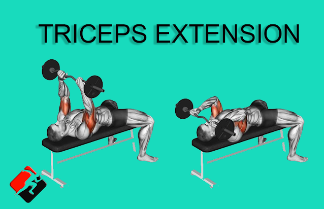 THE TRICEPS EXTENSION