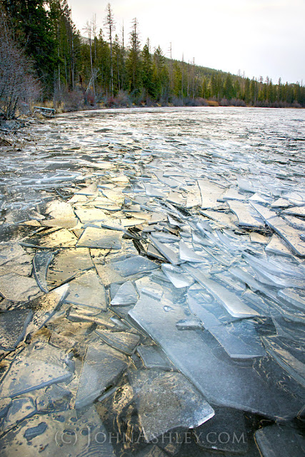 Ice shards in the lake today (c) John Ashley