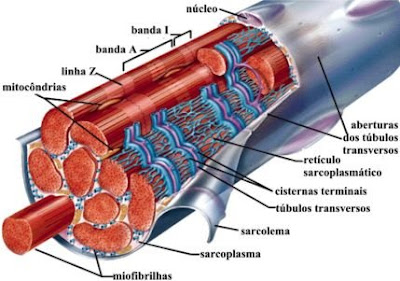 https://blogger.googleusercontent.com/img/b/R29vZ2xl/AVvXsEgfh9io1r8zpWD7zEO8v-dUYPVrB_uFdcC40KmzmYawvbXeIhiVDHyK5ZFfk2rP_qQT2AlaMPMOOq6ChyKtYHlEbGozOMcXLlr3l_D0LIEZ9hongvA9gVXG8D8AUS25eTC68hhewLHr7KU/s400/sem+t%C3%ADtulo.bmp