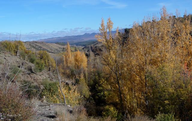 Otoño, senderismo, Jérez del Marquesado