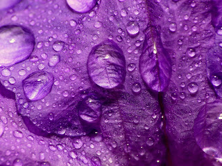 Beautiful HD Water Drops Photos