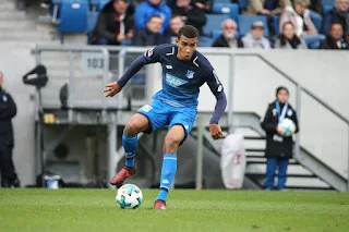 Malian midfielder does not want Hoffenheim star to play Super Eagles