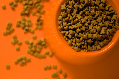 dry pet food causes bladder and kidney stones in dogs and cats