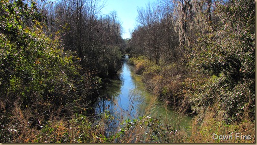 harris neck nwr_112