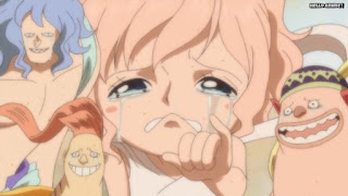 ワンピースアニメ 魚人島編 546話 しらほし フカボシ リュウボシ マンボシ 幼少期 | ONE PIECE Episode 546