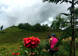 Cadapdapan Rice Terraces - Candijay, Bohol