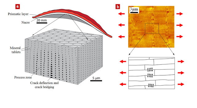 micro-cracks