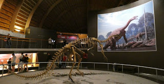 MUJA, Museo del Jurásico de Asturias.