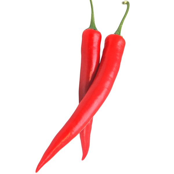 goat horn pepper, goat horn peppers, is goat horn pepper spicy, goat horn pepper seeds, goat horn pepper plant, goat horn pepper farming, growing goat horn pepper