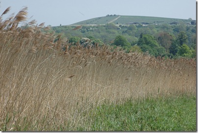 Amberly South Downs Way 022