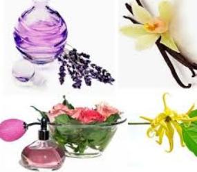 bahan untuk membuat parfum