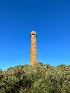 A photo showing a tall, thin stone tower rising up from a sea of green gorse bushes and up into a blue sky.  Photo by Kevin Nosferatu for the Skulferatu Project.