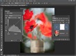 Professional Photoshop