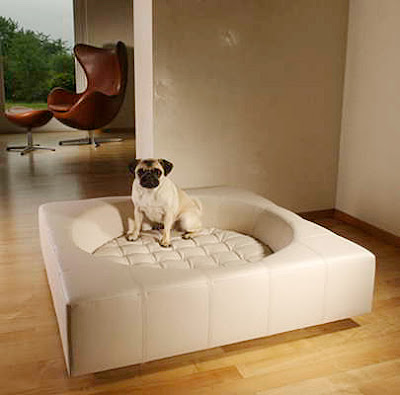 elegant Dog Bed