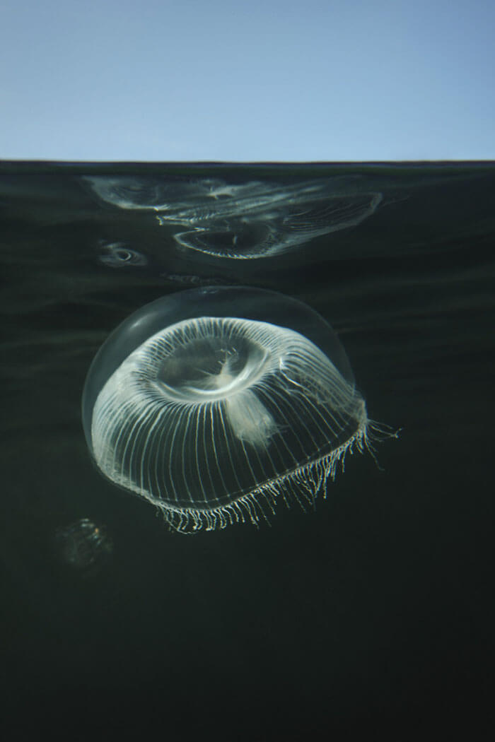 Astonishing Photos Of Underwater Restaurant In Norway That Has Just Been Completed