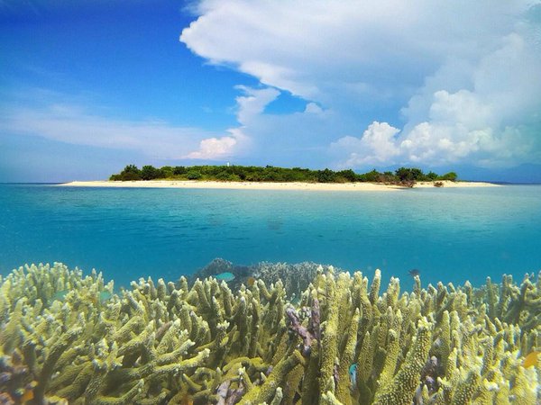 Pantai Bangsring dan Snorkling