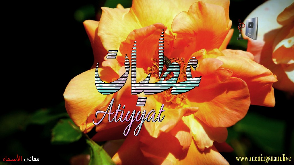 معنى اسم عطيات, وصفات, حاملة, هذا الاسم, Atiyyat,