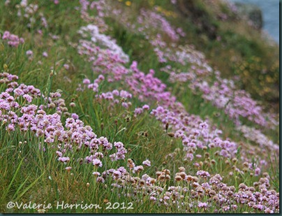 41-thrift