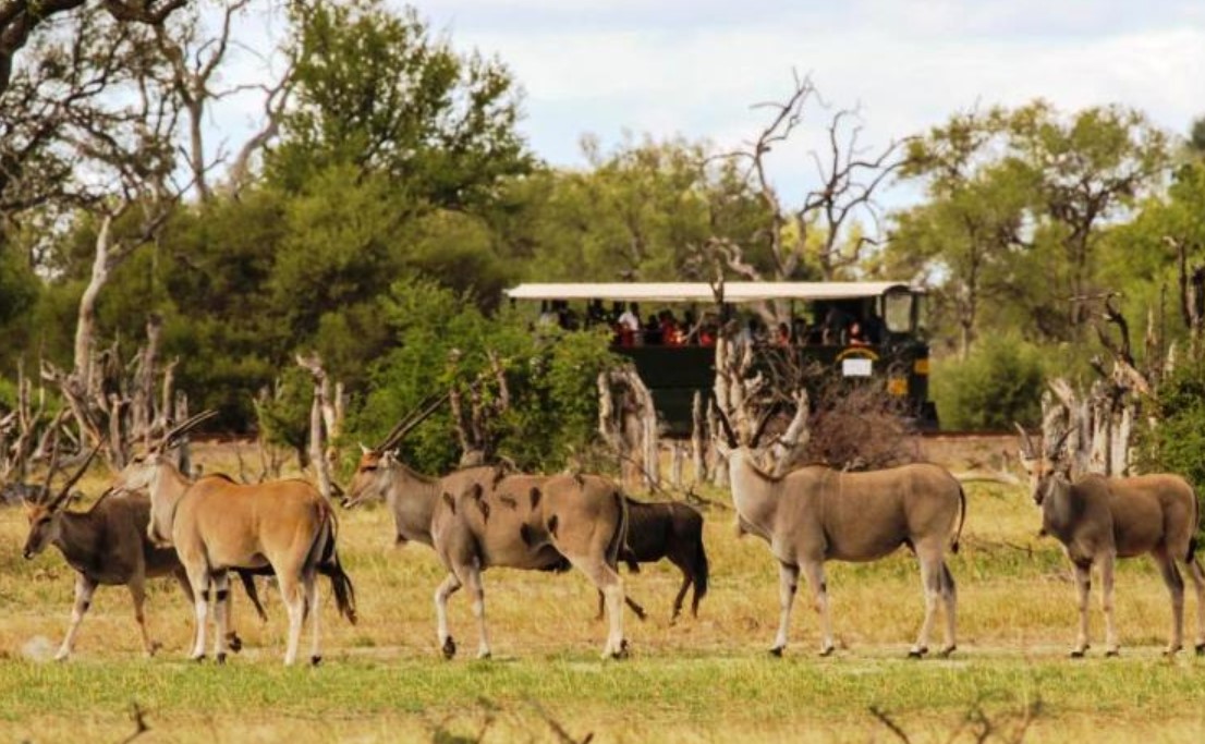 Hwange National Park, Zimbabwe