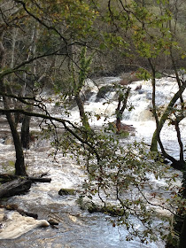 by E.V.Pita / River Anllons - Verdes (Spain, Galicia)