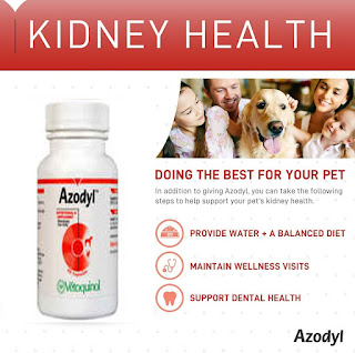 Azodyl Small Caps (90 capsules) Jual Azodyl Vetoquinol Original Obat sakit Ginjal untuk Hewan